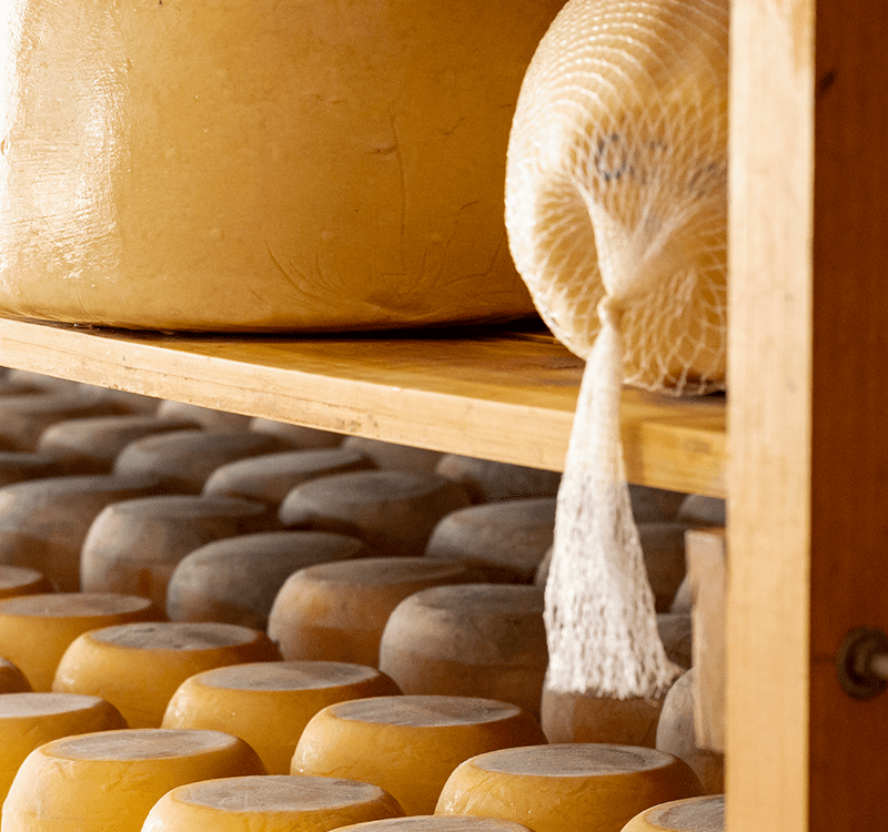 AUDITOR INTERNO EN SISTEMAS DE GESTIÓN PARA LA INOCUIDAD ALIMENTARIA BPM, HACCP, ISO 22000:2018